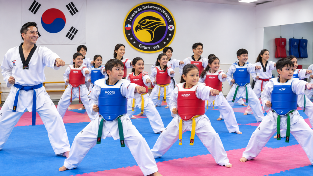 tecnica basica escuela de taekwondo olímpico